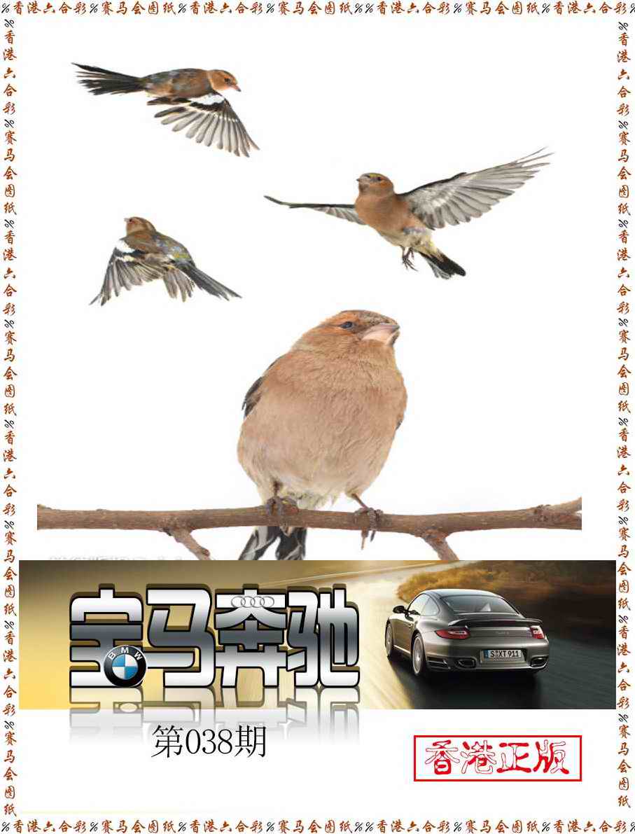 038期宝马奔驰[图]